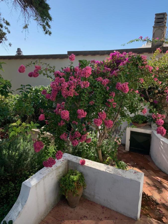 Bed and Breakfast Il Geranio Anacapri  Exterior foto