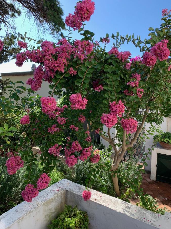 Bed and Breakfast Il Geranio Anacapri  Exterior foto